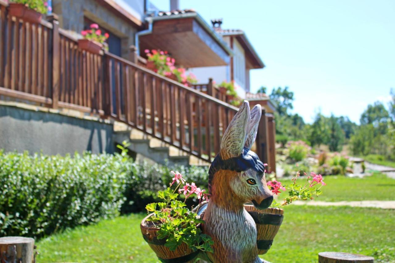 Hotel Sinjirite Complex Elena Exteriér fotografie